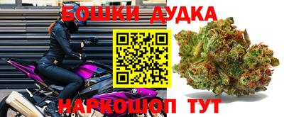 apvp Славгород