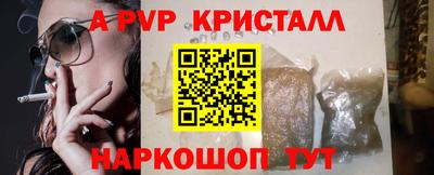 apvp Славгород