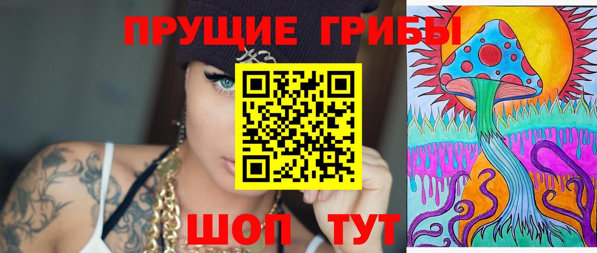 Псилоцибиновые грибы ЛСД Новоалтайск