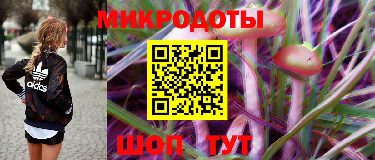 Галлюциногенные грибы мицелий  Вход с VPN  Галлюциногенные грибы GOLDEN TEACHER  Новоалтайск 